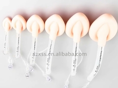 Double Lumen Silicone Laryngeal Airway Tube With Mask Intubated