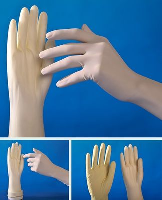 CE Certification Disposable Exam Gloves Natural Latex Surgical Gloves