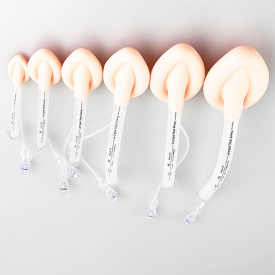 Double Lumen Silicone Laryngeal Airway Tube With Mask Intubated